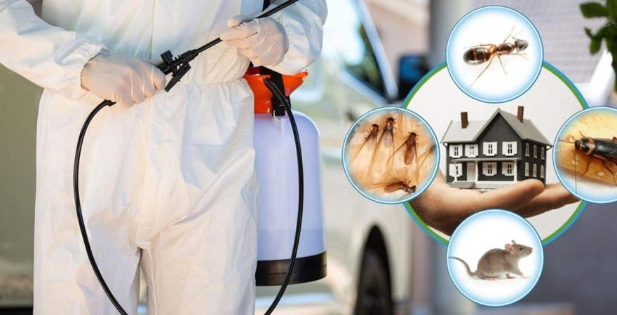 Burdur Böcek İlaçlama