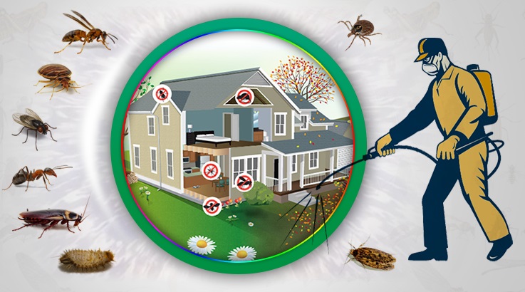 Burdur Böcek İlaçlama