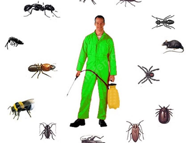 Burdur Böcek İlaçlama